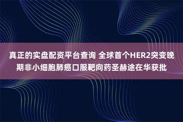 真正的实盘配资平台查询 全球首个HER2突变晚期非小细胞肺癌口服靶向药圣赫途在华获批
