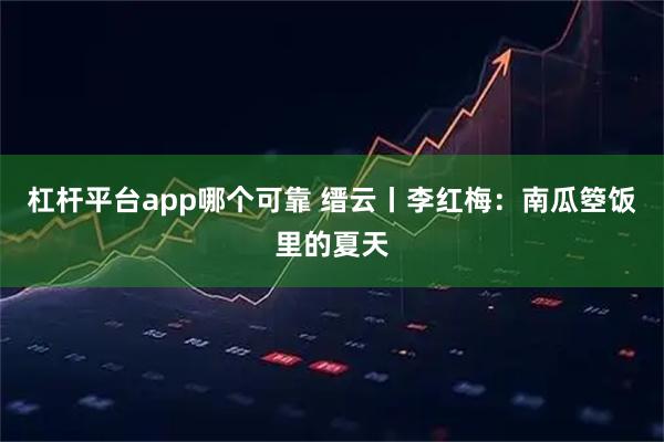 杠杆平台app哪个可靠 缙云丨李红梅：南瓜箜饭里的夏天