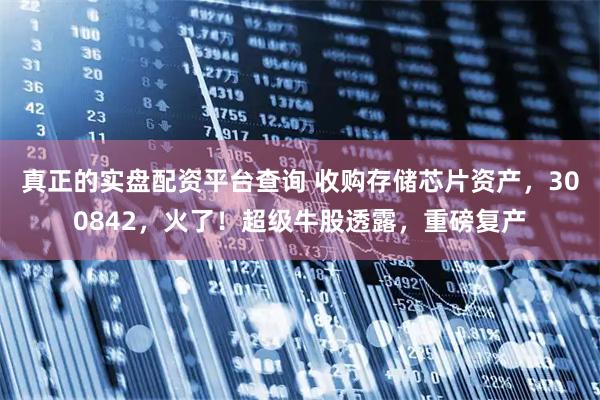 真正的实盘配资平台查询 收购存储芯片资产，300842，火了！超级牛股透露，重磅复产
