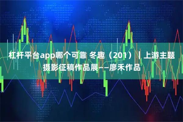 杠杆平台app哪个可靠 冬趣(201)|上游主题摄影征稿作品展——廖禾作品