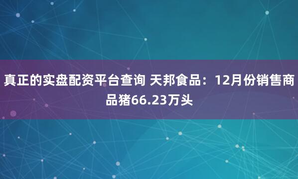 真正的实盘配资平台查询 天邦食品：12月份销售商品猪66.23万头