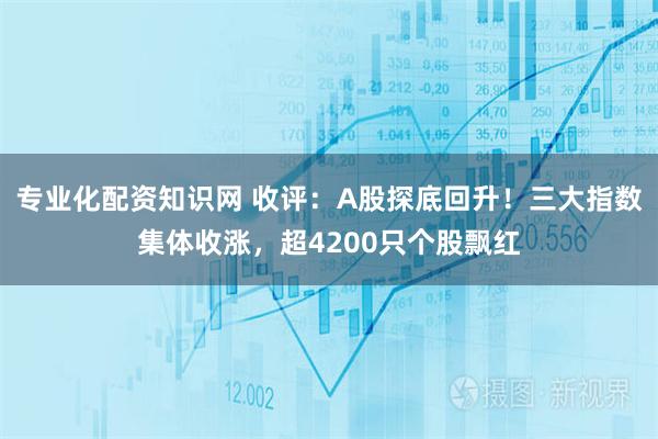 专业化配资知识网 收评：A股探底回升！三大指数集体收涨，超4200只个股飘红